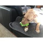 Image 5 of customer photos