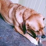 Image 2 of customer photos