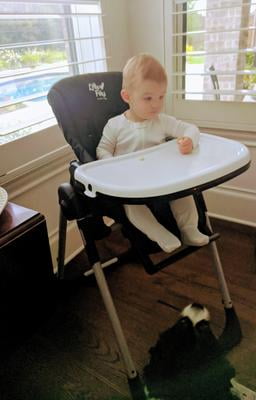 Little Folks Convertible 2 in 1 Evolve High Chair by Delta