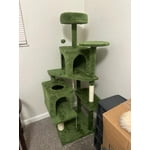 Image 4 of customer photos