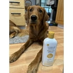 Image 2 of customer photos