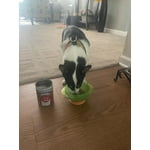 Image 2 of customer photos