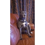 Image 1 of customer photos