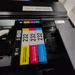 Image 4 of customer photos