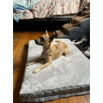 Image 7 of customer photos