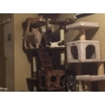 Image 4 of customer photos