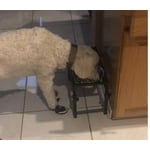 Image 1 of customer photos