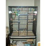 Image 4 of customer photos