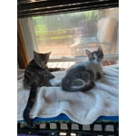 Image 2 of customer photos