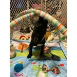 Image 4 of customer photos