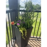 Image 1 of customer photos