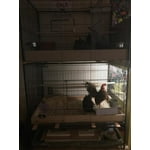 Image 6 of customer photos