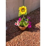 Image 2 of customer photos