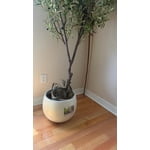 Image 7 of customer photos