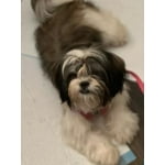 Image 5 of customer photos