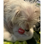 Image 7 of customer photos