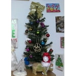 Image 2 of customer photos