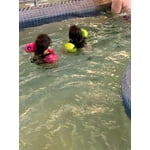 Image 6 of customer photos