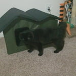 Image 6 of customer photos