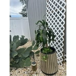 Image 8 of customer photos