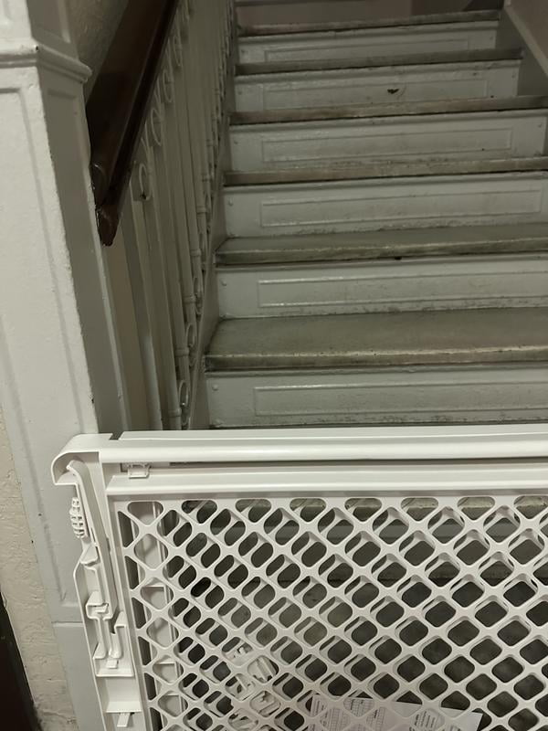 邦楽 DUMMY CHILDREN stair case 邦楽 DUMMY CHILDREN stair case Amazon.com: Toddleroo by