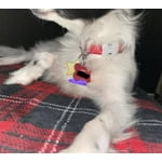 Image 1 of customer photos