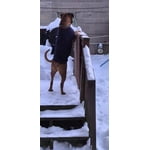 Image 4 of customer photos