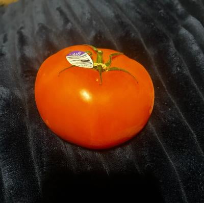 Slicing Tomato, Bulk - Walmart.com