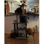 Image 1 of customer photos