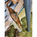 Image 3 of customer photos