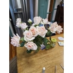 Image 2 of customer photos