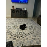 Image 3 of customer photos