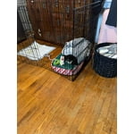 Image 4 of customer photos