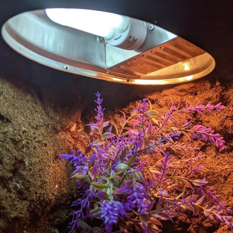 Zilla Dual Low Profile Fixture: Compact Light Heat Solution for