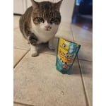 Image 4 of customer photos