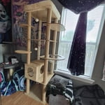 Image 1 of customer photos