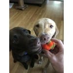 Image 1 of customer photos