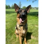 Image 6 of customer photos