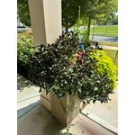 Image 2 of customer photos