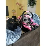 Image 2 of customer photos