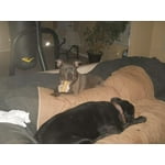 Image 2 of customer photos