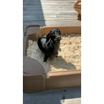 Image 4 of customer photos