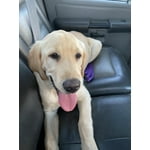 Image 2 of customer photos