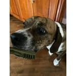 Image 6 of customer photos