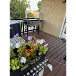 Image 2 of customer photos