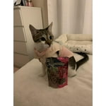 Image 7 of customer photos