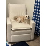 Image 2 of customer photos