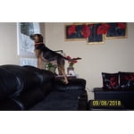 Image 1 of customer photos