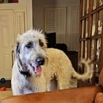 Image 1 of customer photos