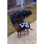 Image 1 of customer photos